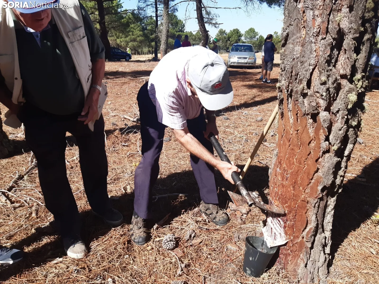 Día de la Resina en Tardelcuente.