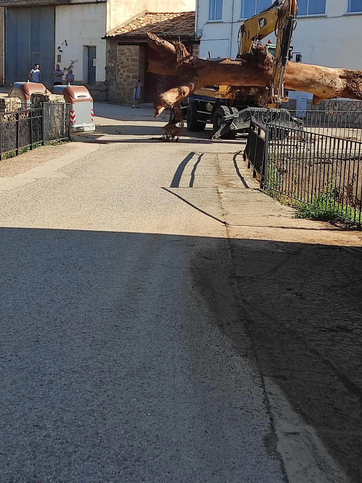 Foto 2 - Retirado un olmo centenario del Barranco del Gato en Torlengua 