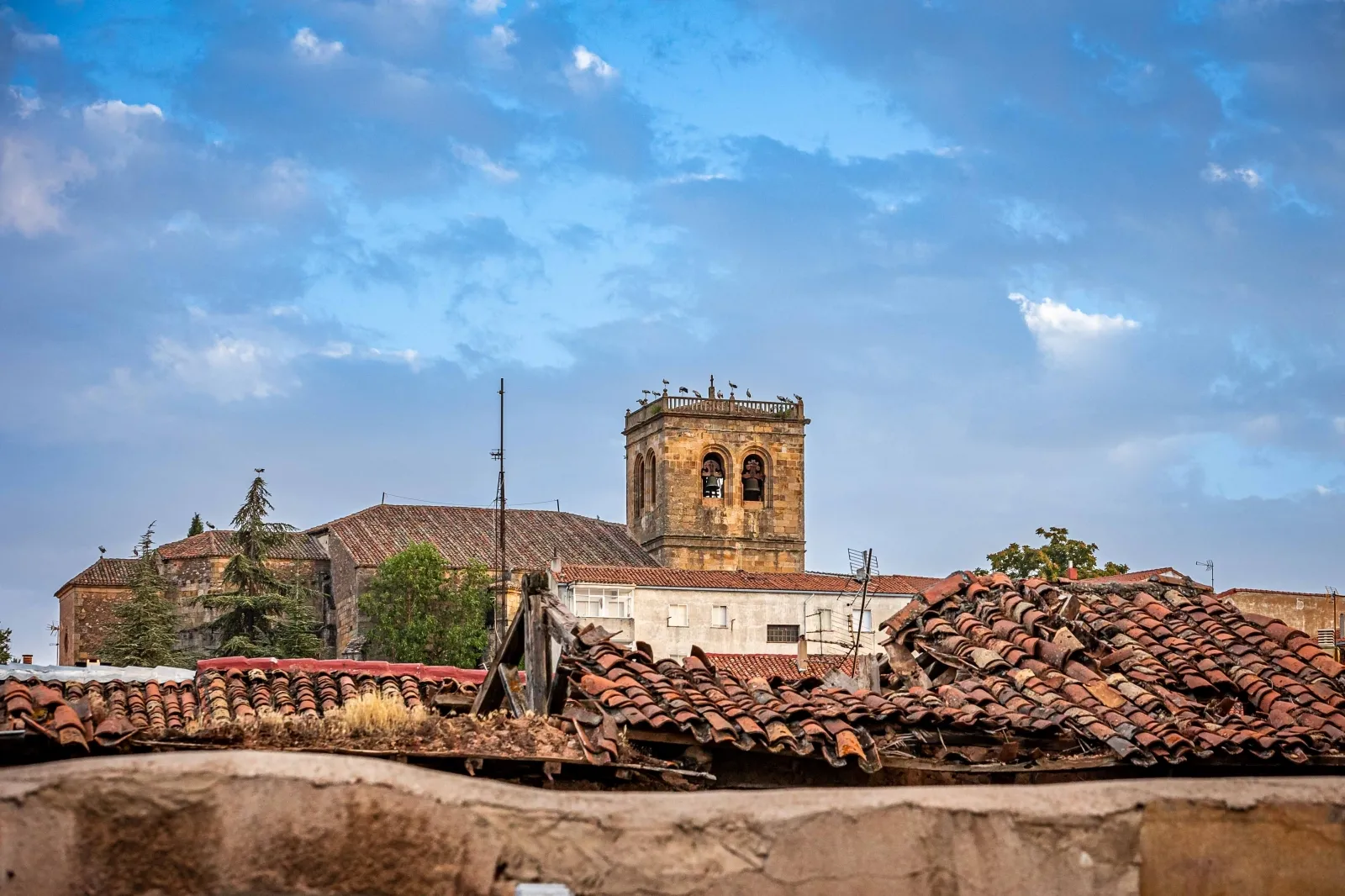 Las cigüeñas toman los cielos de Soria. Viksar Fotografía