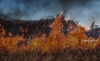 Foto 1 - Los rayos provocan un incendio en Muriel de la Fuente