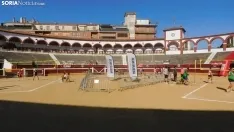 Foto 21 - Fotos: arranca el Voley Plaza en Soria con 380 jugadores y un alt&iacute;simo nivel