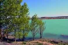 Foto 13 - El embalse de Monteagudo: inter&eacute;s ecol&oacute;gico y tur&iacute;stico