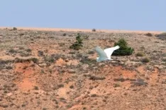 Foto 6 - El embalse de Monteagudo: inter&eacute;s ecol&oacute;gico y tur&iacute;stico