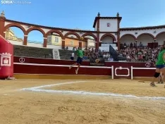 Foto 55 - Voley Plaza Joven In 2022: Fotos y todos los ganadores