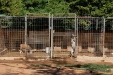 Foto 17 - Fotos y video: Un amor que hay que vivir para entender