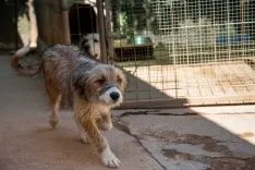 Foto 5 - Fotos y video: Un amor que hay que vivir para entender