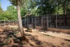 Foto 16 - Fotos y video: Un amor que hay que vivir para entender