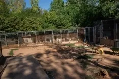 Foto 15 - Fotos y video: Un amor que hay que vivir para entender