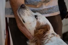 Foto 14 - Fotos y video: Un amor que hay que vivir para entender