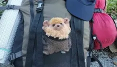El muñeco en la mochila de la viajera. /ERL
