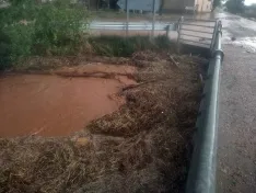 Foto 5 - Riada en Almazul, que registra m&aacute;s de 44 litros por metro cuadrado en las precipitaciones de este jueves
