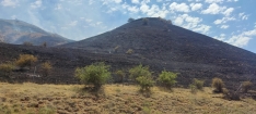 Foto 4 - ACTUALIZACIÓN: Estabilizado y perimetrado el incendio en Esteras de Medinaceli