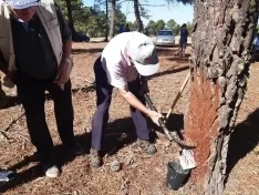 Día de la Resina en Tardelcuente.