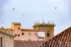 Las cigüeñas toman los cielos de Soria. Viksar Fotografía