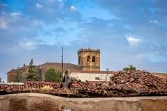 Las cigüeñas toman los cielos de Soria. Viksar Fotografía