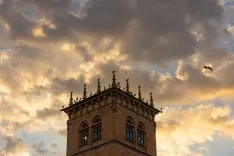 Las cigüeñas toman los cielos de Soria. Viksar Fotografía