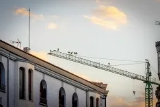 Las cigüeñas toman los cielos de Soria. Viksar Fotografía