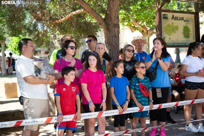 Cross de Abejar
