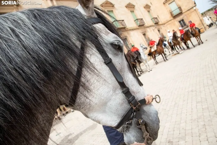 Feria Andaluza Almazán