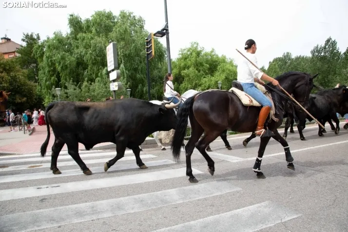 Feria Andaluza Almazán