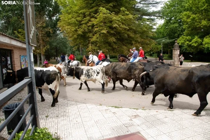 Feria Andaluza Almazán