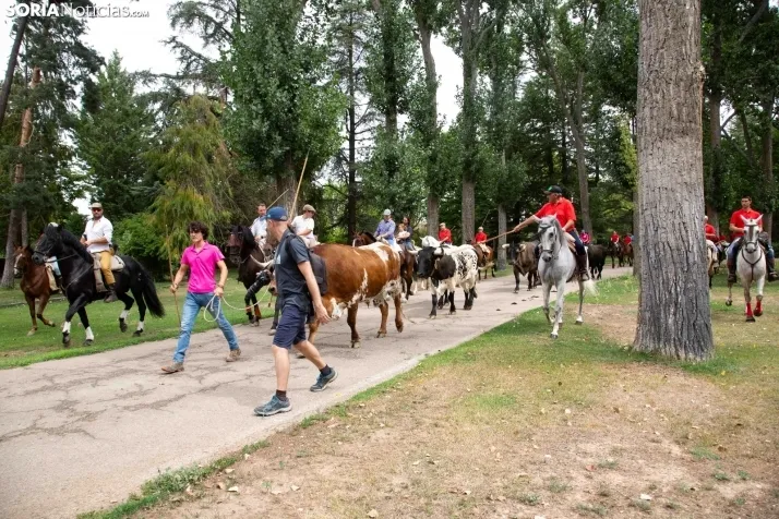 Feria Andaluza Almazán
