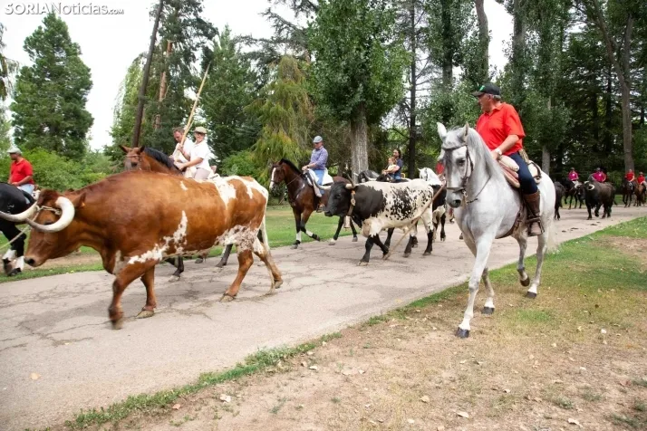 Feria Andaluza Almazán