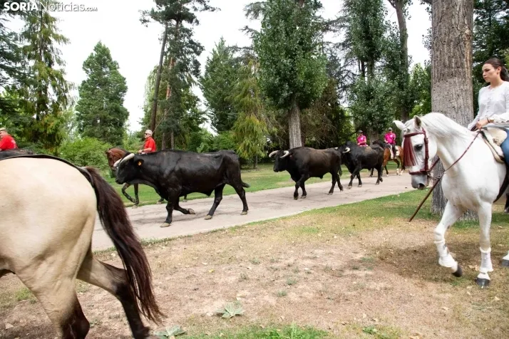 Feria Andaluza Almazán