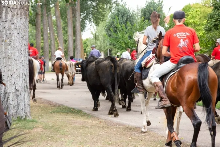 Feria Andaluza Almazán