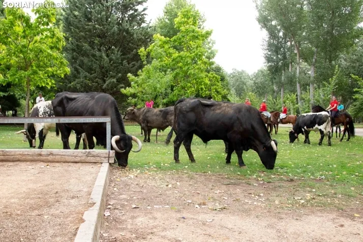 Feria Andaluza Almazán