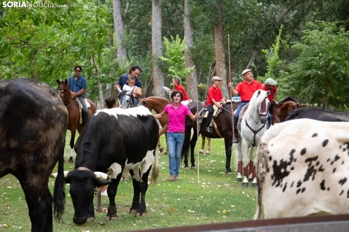 Feria Andaluza Almazán