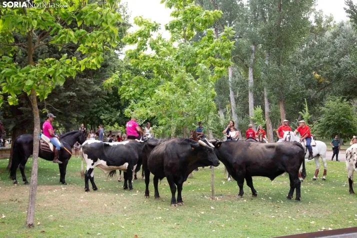 Feria Andaluza Almazán