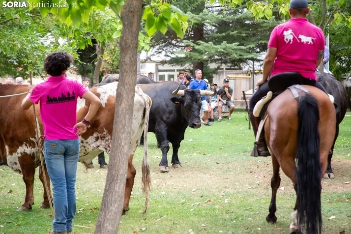 Feria Andaluza Almazán