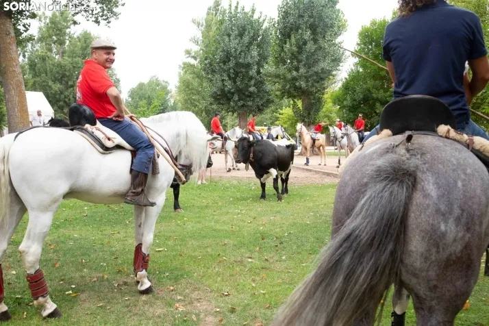 Feria Andaluza Almazán