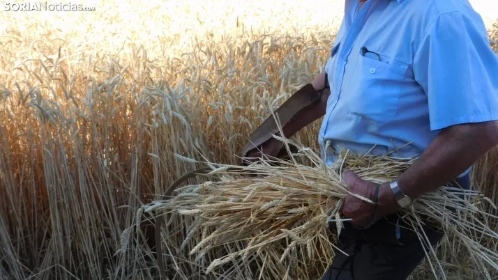 Siega Tradicional 2022 en Nepas. /SN