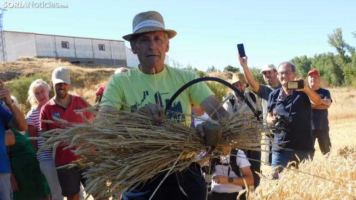 Siega Tradicional 2022 en Nepas. /SN