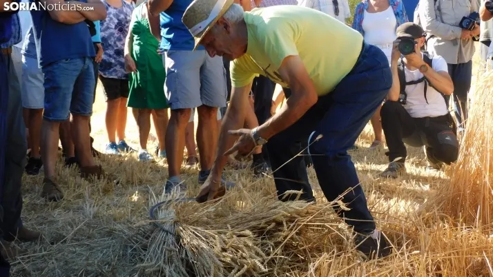 Siega Tradicional 2022 en Nepas. /SN