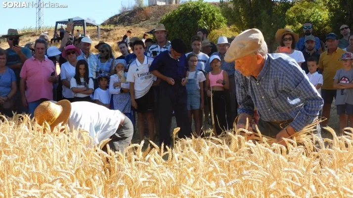 Siega Tradicional 2022 en Nepas. /SN