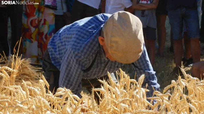 Siega Tradicional 2022 en Nepas. /SN