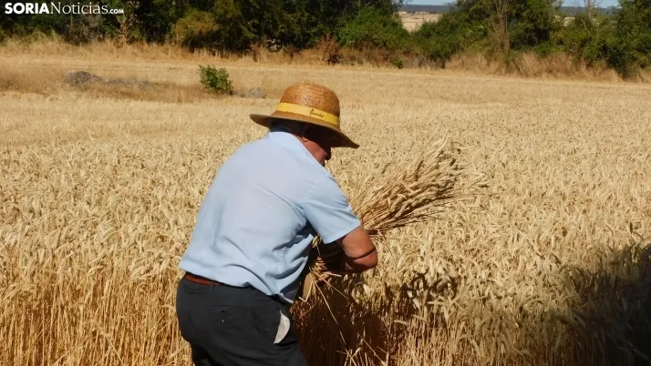 Siega Tradicional 2022 en Nepas. /SN
