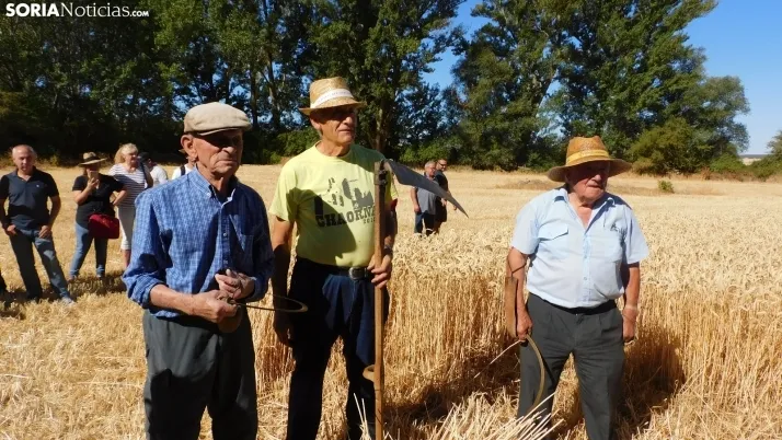 Siega Tradicional 2022 en Nepas. /SN