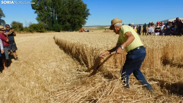 Siega Tradicional 2022 en Nepas. /SN