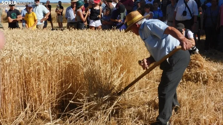 Siega Tradicional 2022 en Nepas. /SN
