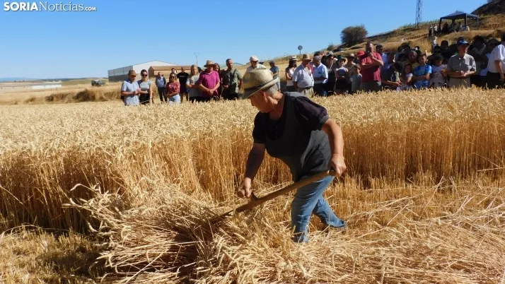 Siega Tradicional 2022 en Nepas. /SN