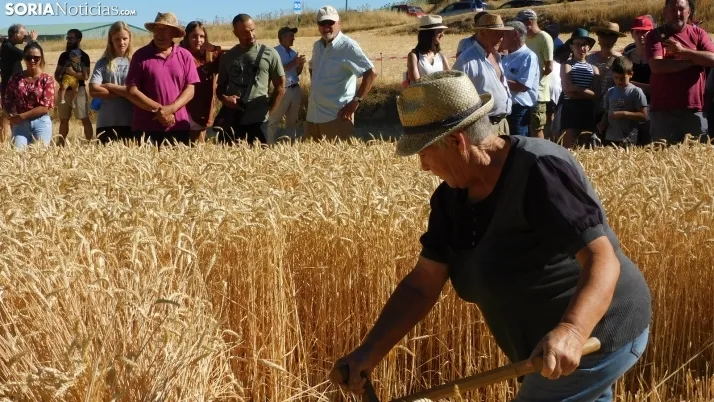 Siega Tradicional 2022 en Nepas. /SN