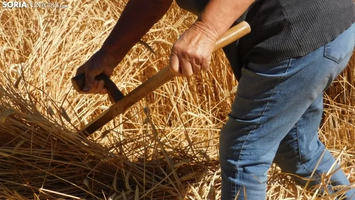 Siega Tradicional 2022 en Nepas. /SN