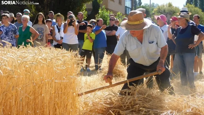 Siega Tradicional 2022 en Nepas. /SN