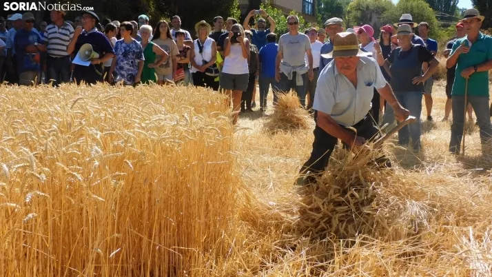 Siega Tradicional 2022 en Nepas. /SN