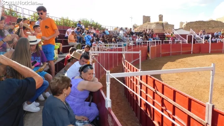 Fotos: desfile de pe&ntilde;as y novillos en el segundo d&iacute;a de fiestas en Berlanga