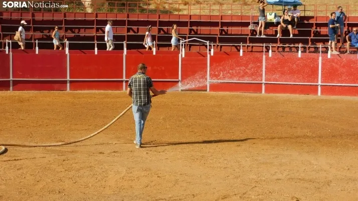 Fotos: desfile de pe&ntilde;as y novillos en el segundo d&iacute;a de fiestas en Berlanga